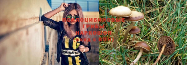 MESCALINE Няндома