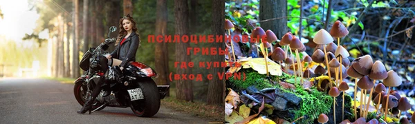 героин Абаза