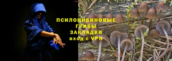 героин Абаза